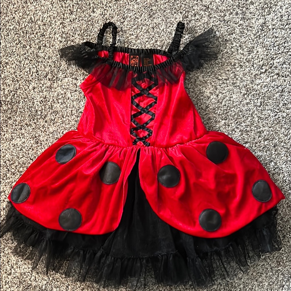 Little girls red and black lady bug costume.